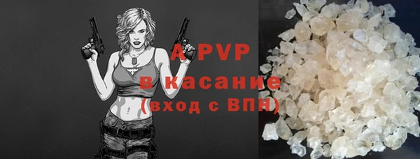 ГАЛЛЮЦИНОГЕННЫЕ ГРИБЫ Верея