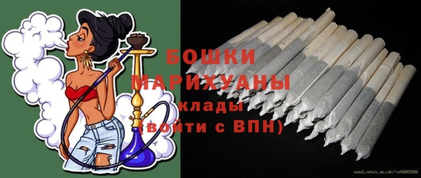 ГАЛЛЮЦИНОГЕННЫЕ ГРИБЫ Верея